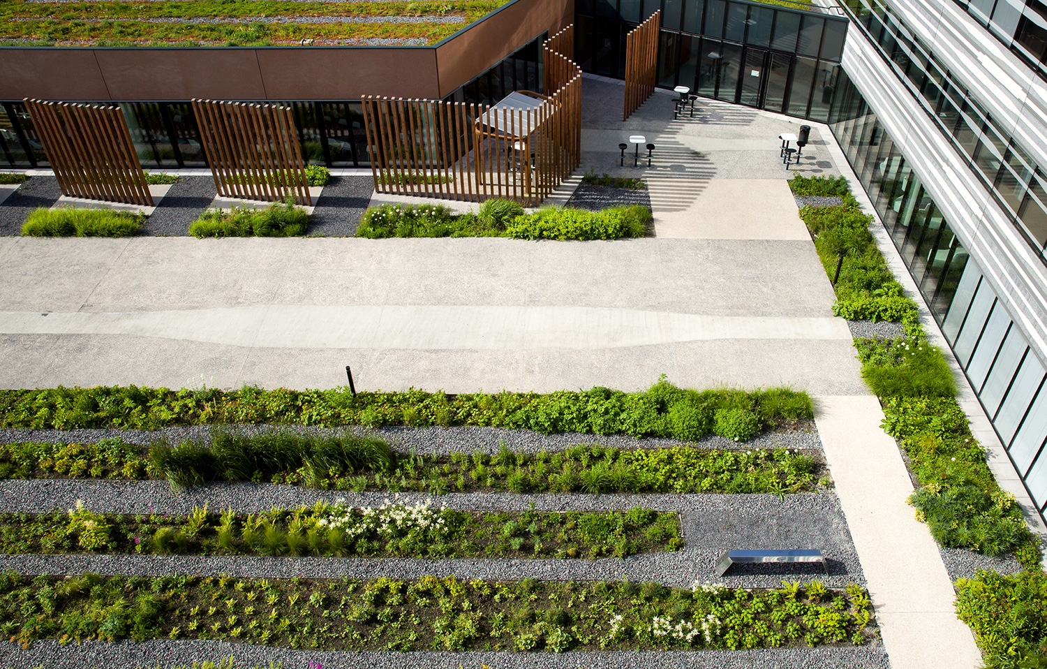 landscapedesign, roofgarden, toiturejardin