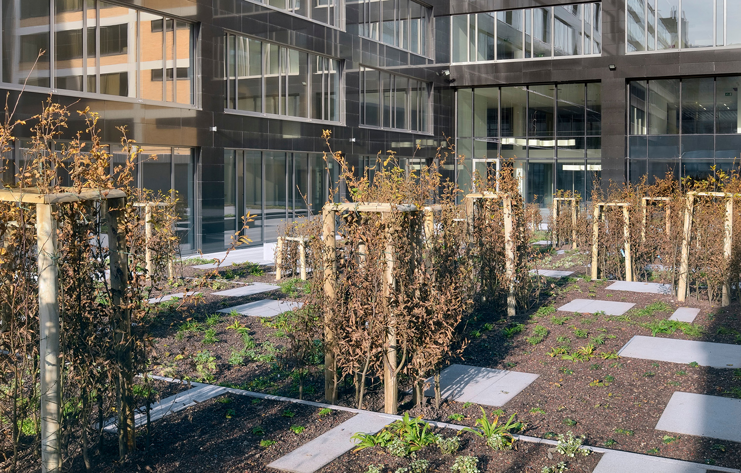 roofgarden, patio, atrium