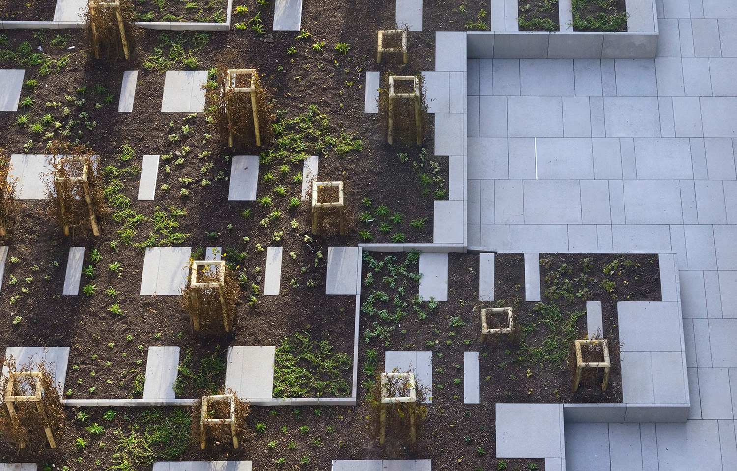 roofgarden, zenarchitecture, landscapedesign