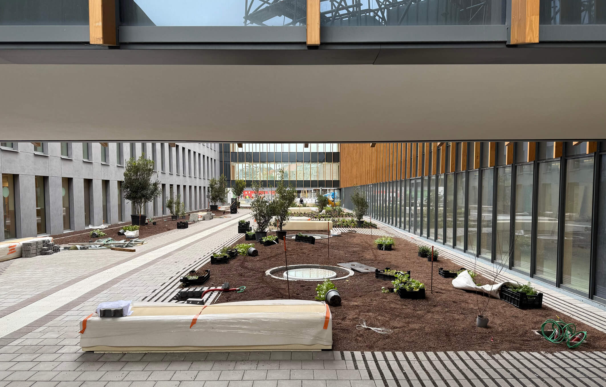 landscapedesign, landscapedrawing, landscapeillustration