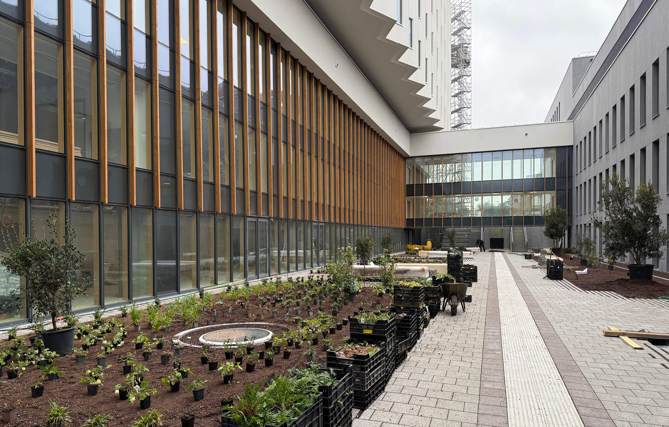 landscapedesign, landscapedrawing, landscapeillustration