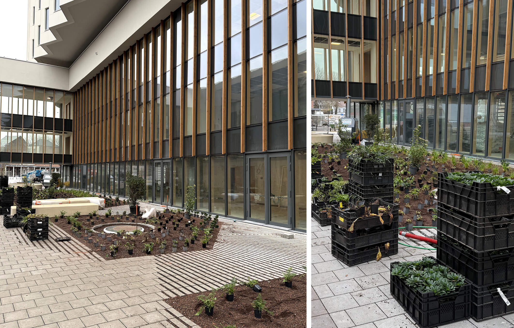 landscapedesign, landscapedrawing, landscapeillustration