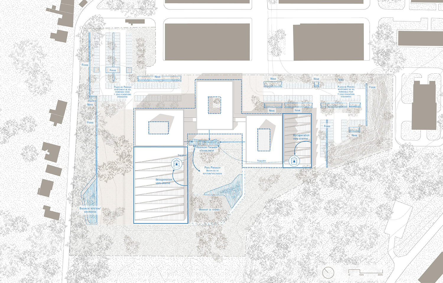 landscapedesign, landscapedrawing, environmentalarchitecture